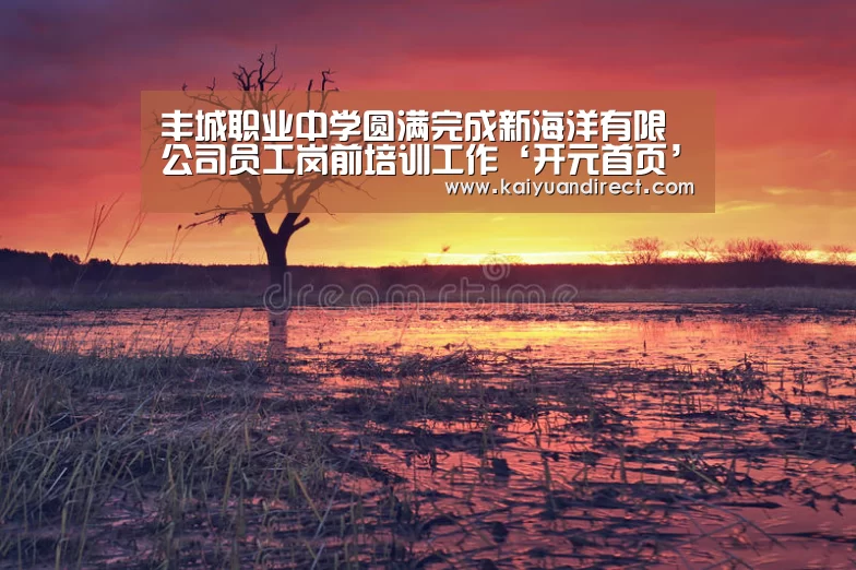 开元比分