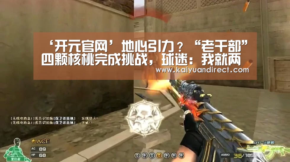 开元比分