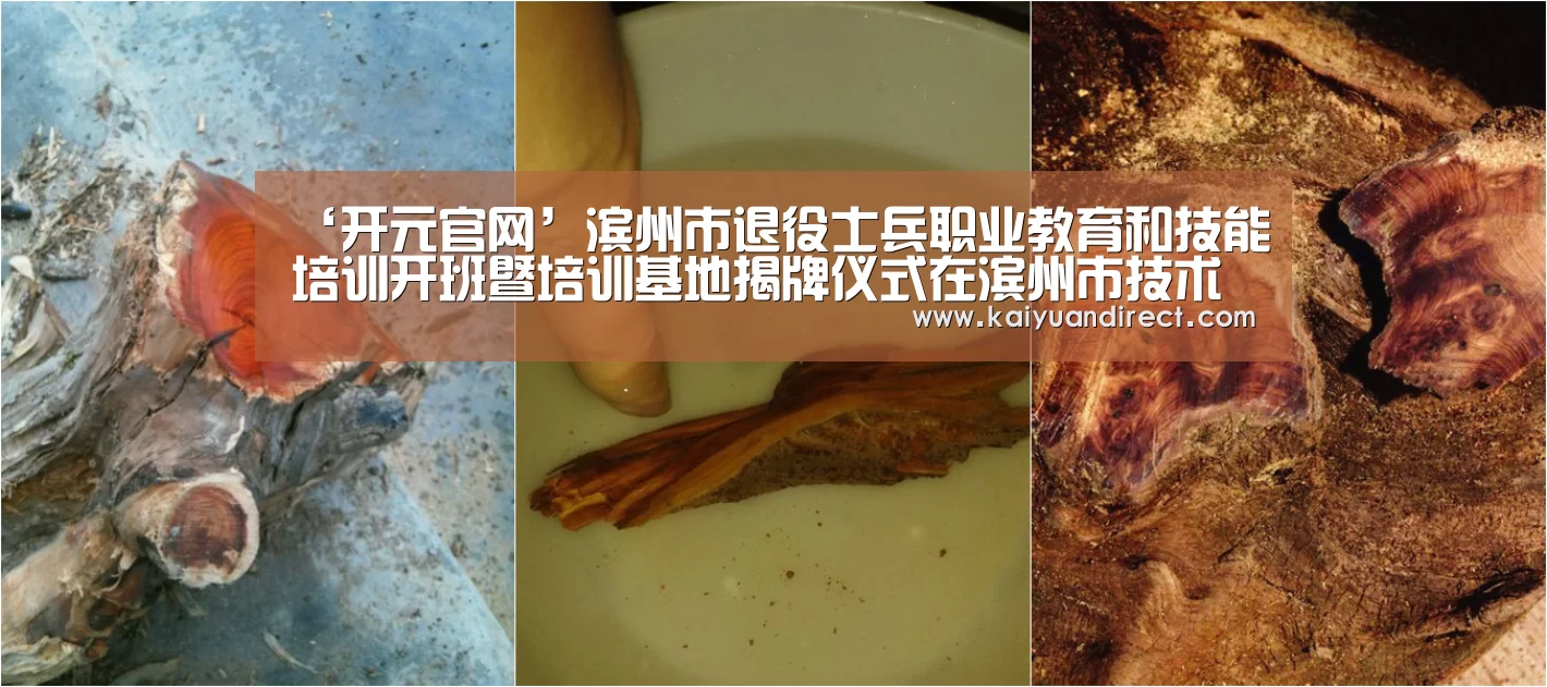 ‘开元官网’滨州市退役士兵职业教育和技能培训开班暨培训基地揭牌仪式在滨州市技术学院举行(图2) 开元官网
