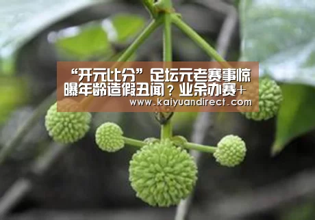 “开元比分”足坛元老赛事惊曝年龄造假丑闻?业余办赛+监督不力让分迷心凉!(图2) 开元比分