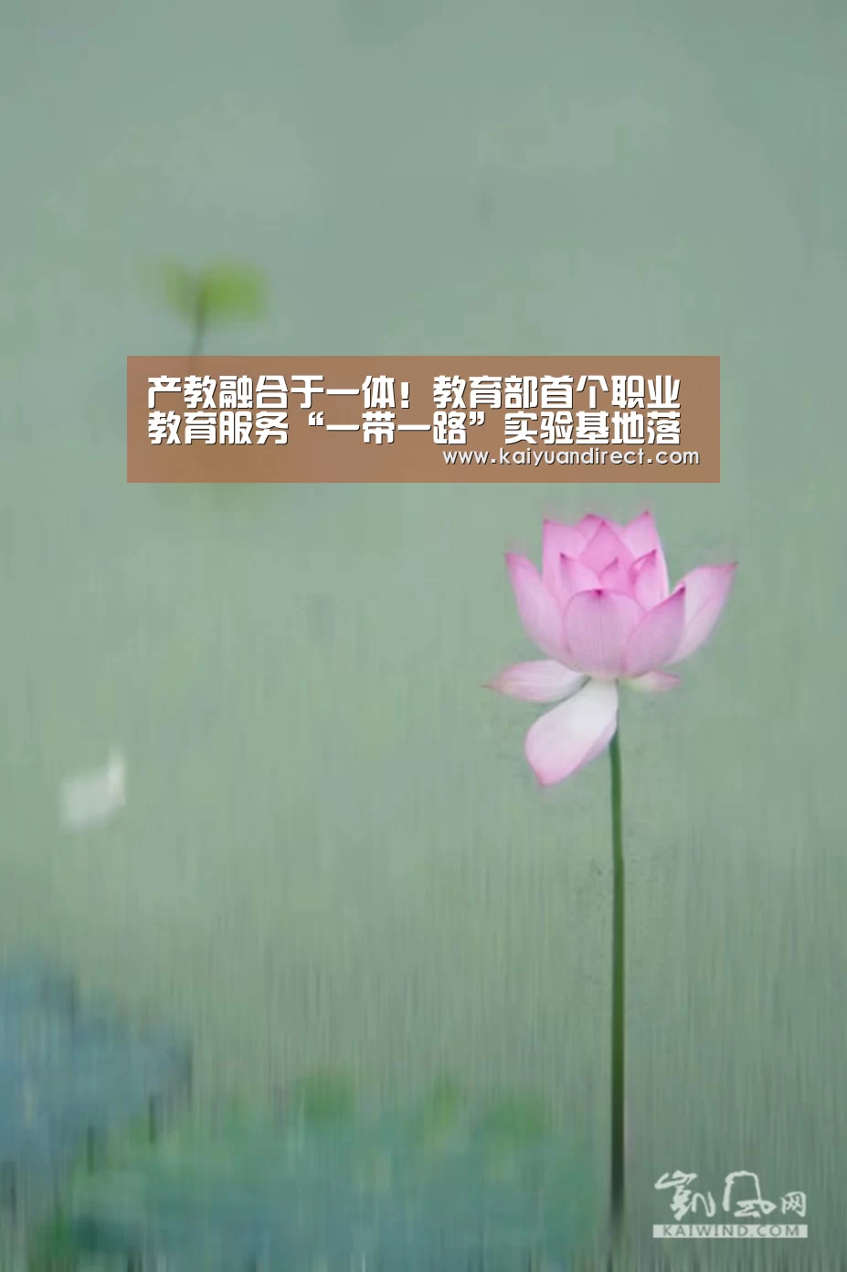 产教融合于一体!教育部首个职业教育服务“一带一路”实验基地落户山东【开元比分】(图4) 开元官网