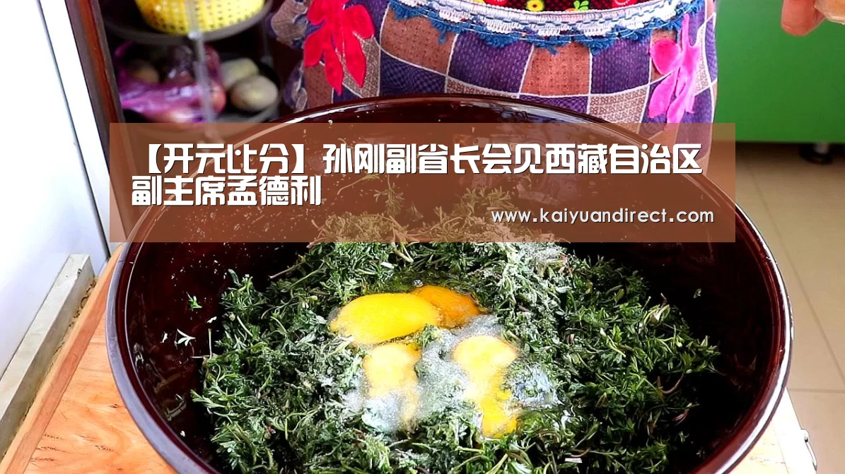 【开元比分】孙刚副省长会见西藏自治区副主席孟德利(图1) 开元比分