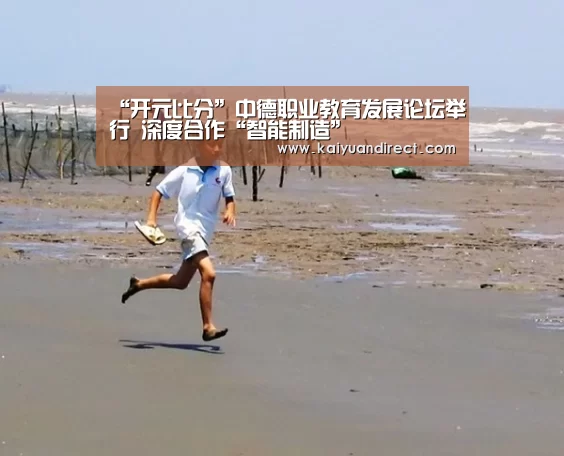 “开元比分”中德职业教育发展论坛举行 深度合作“智能制造”(图1) 开元官网