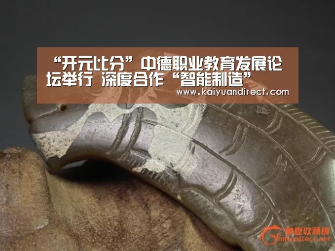 “开元比分”中德职业教育发展论坛举行 深度合作“智能制造”(图4) 开元比分